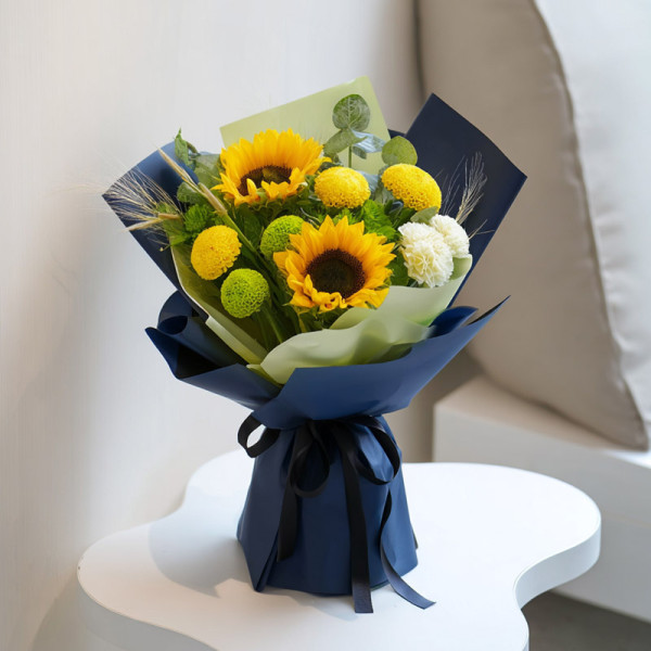 暮光密語—驕陽之詩